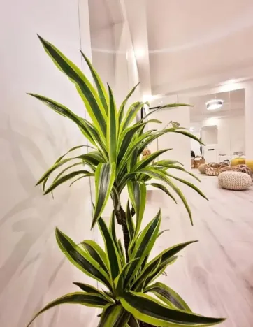 Prodej bytu 3+1, Pula, Chorvatsko, 68 m2