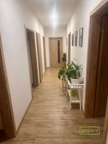 Pronájem rodinného domu, Bystřice, K Zájezdku, 150 m2