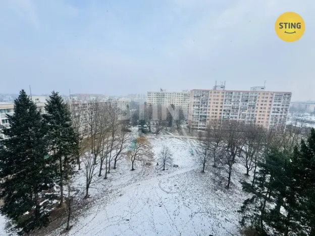 Pronájem bytu 1+kk, Pardubice, Grusova, 39 m2