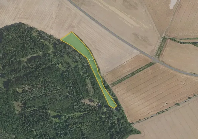 Prodej louky, Benátky nad Jizerou, 16872 m2