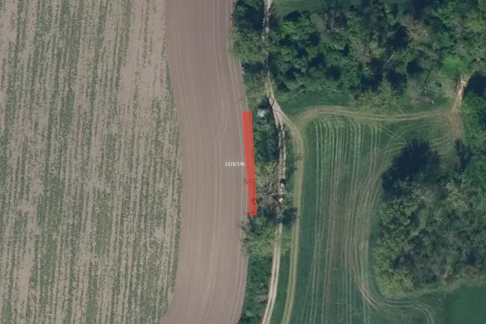 Prodej pole, Bohuslavice, 30354 m2