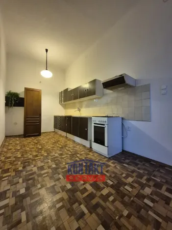 Pronájem bytu 1+1, České Budějovice, Fráni Šrámka, 50 m2