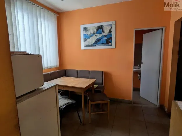 Pronájem obchodního prostoru, Teplice, Pražská, 380 m2