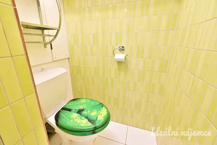 Pronájem bytu 1+1, Brno, Dubová, 32 m2