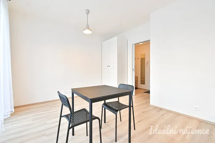 Pronájem bytu 1+kk, Brno, Rybářská, 29 m2