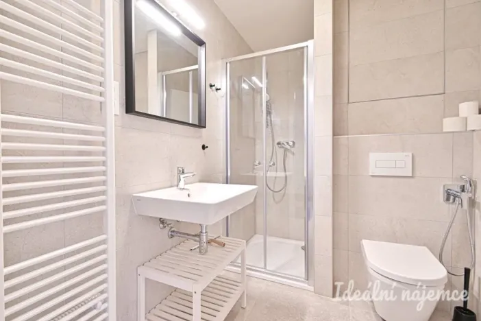 Pronájem bytu 1+kk, Brno, Rybářská, 29 m2