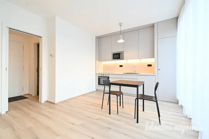 Pronájem bytu 1+kk, Brno, Rybářská, 29 m2