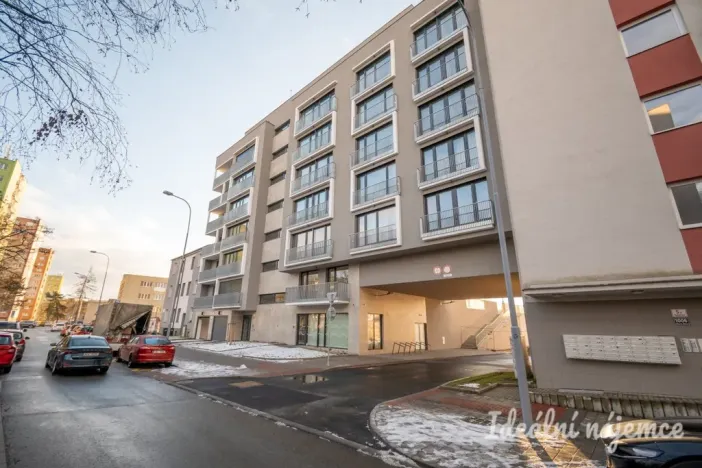 Pronájem bytu 1+kk, Brno, Rybářská, 29 m2