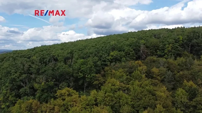 Prodej lesa, Lelekovice, 22668 m2