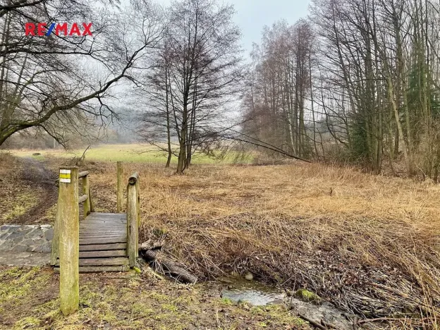 Prodej rybníku, Ondřejov, 8264 m2