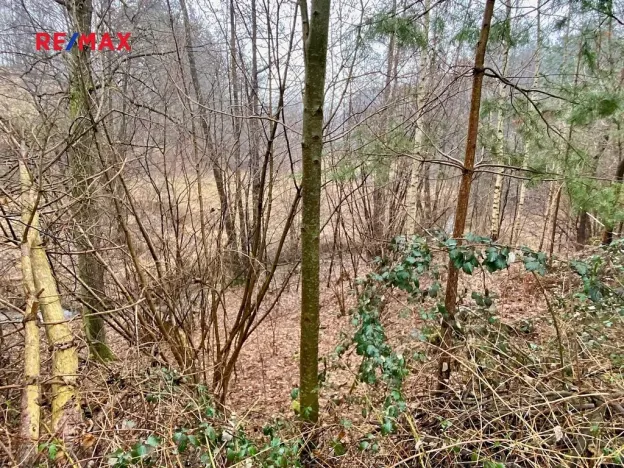 Prodej rybníku, Ondřejov, 8264 m2