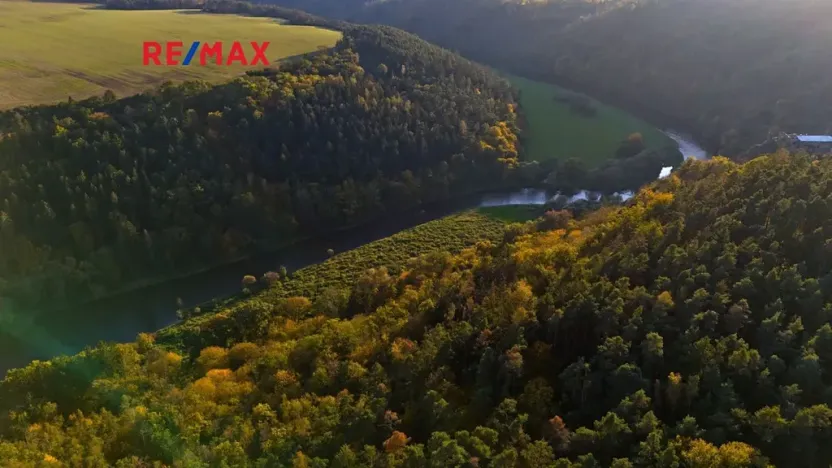 Prodej lesa, Všehrdy, 35057 m2