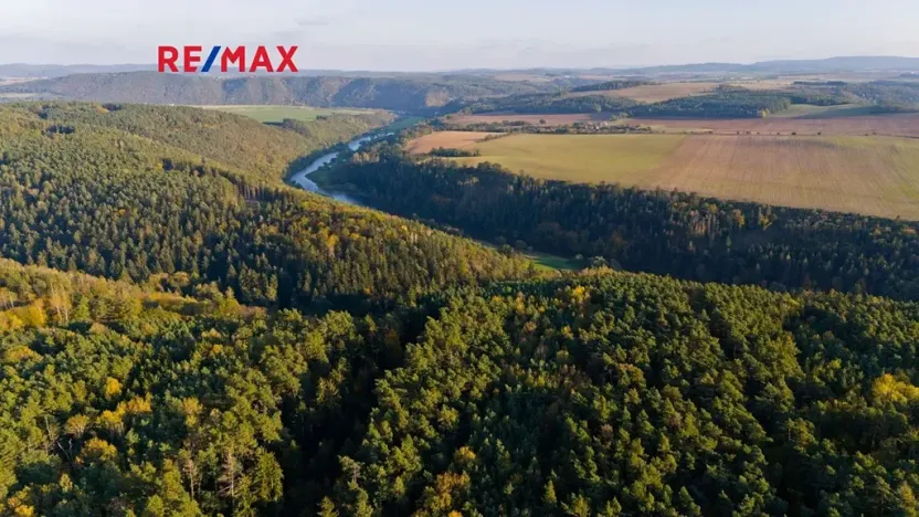 Prodej lesa, Všehrdy, 35057 m2