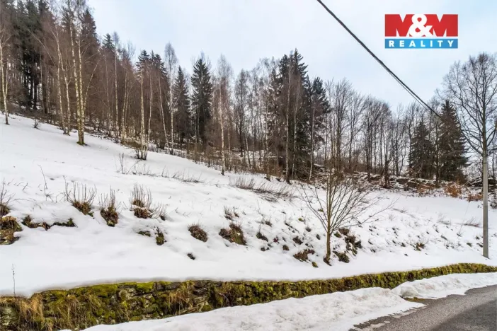 Prodej pozemku pro bydlení, Dolní Dvůr, 9366 m2