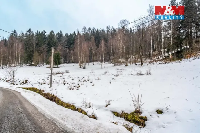 Prodej pozemku pro bydlení, Dolní Dvůr, 9366 m2