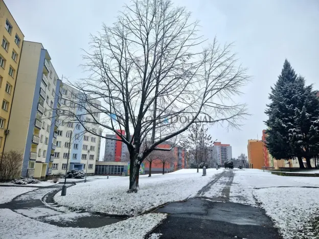 Pronájem bytu 1+1, Ostrava - Poruba, Pavlouskova, 38 m2