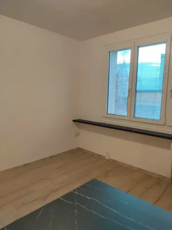 Pronájem bytu 1+kk, Plzeň, Skupova, 20 m2