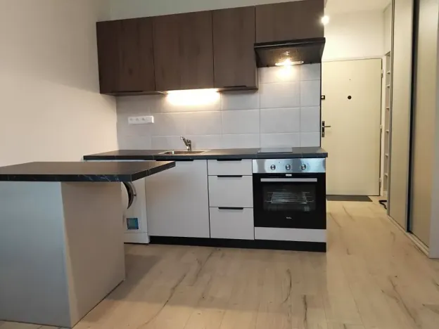 Pronájem bytu 1+kk, Plzeň, Skupova, 20 m2