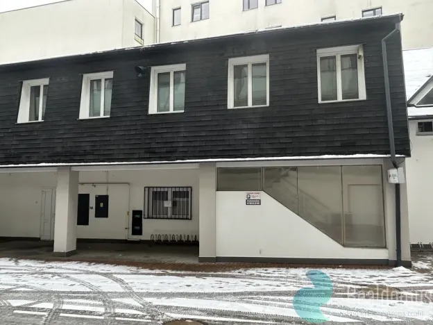 Pronájem komerční nemovitosti, České Budějovice - České Budějovice 2, Husova tř., 300 m2