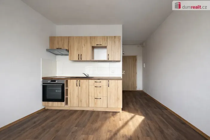 Pronájem bytu 1+1, Ústí nad Labem - Severní Terasa, Pincova, 38 m2