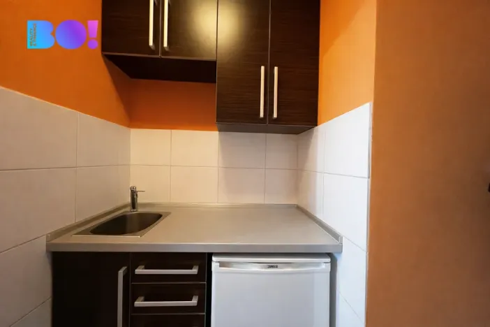 Prodej bytu 1+kk, Ostrava, Krakovská, 20 m2