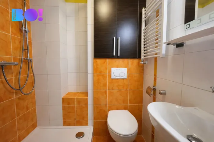 Prodej bytu 1+kk, Ostrava, Krakovská, 20 m2