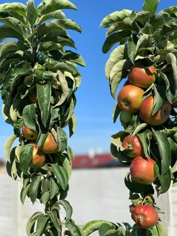 Prodej rodinného domu, Cheb, U Sídliště, 114 m2