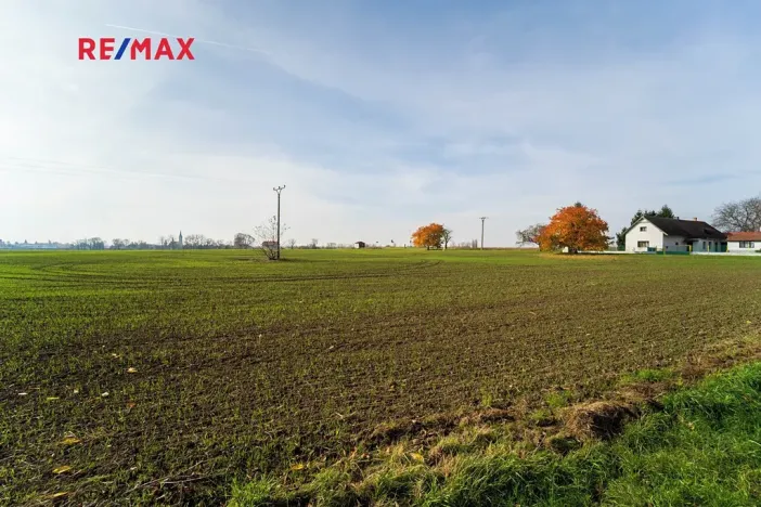 Prodej pozemku pro bydlení, Všechlapy, 9214 m2