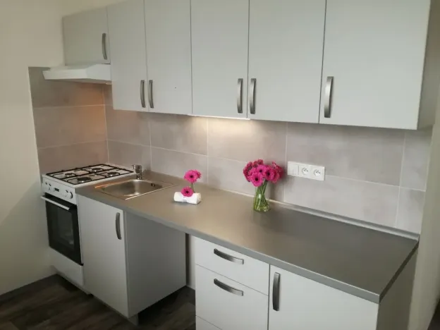 Pronájem bytu 2+1, Ostrava - Poruba, Sokolovská, 55 m2