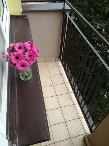 Pronájem bytu 2+1, Ostrava - Poruba, Sokolovská, 55 m2