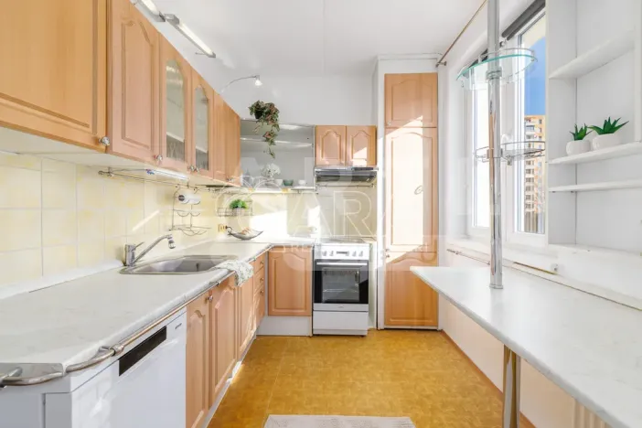 Prodej bytu 3+1, České Budějovice - České Budějovice 2, K. Chocholy, 66 m2