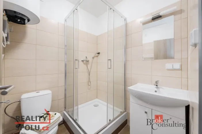 Pronájem bytu 1+kk, Mlékojedy, 45 m2