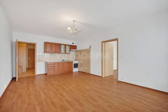 Prodej bytu 2+kk, Plzeň, Bolevecká, 53 m2