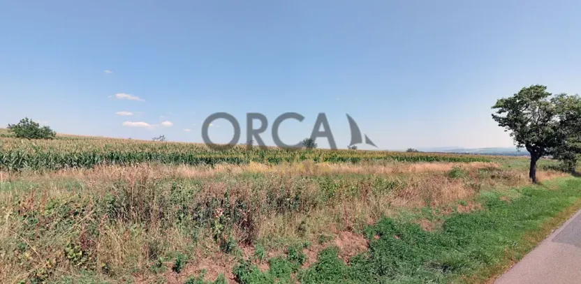 Prodej pole, Moravský Písek, 11506 m2