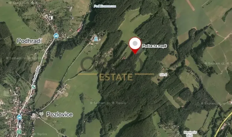 Prodej lesa, Pozlovice, 9893 m2