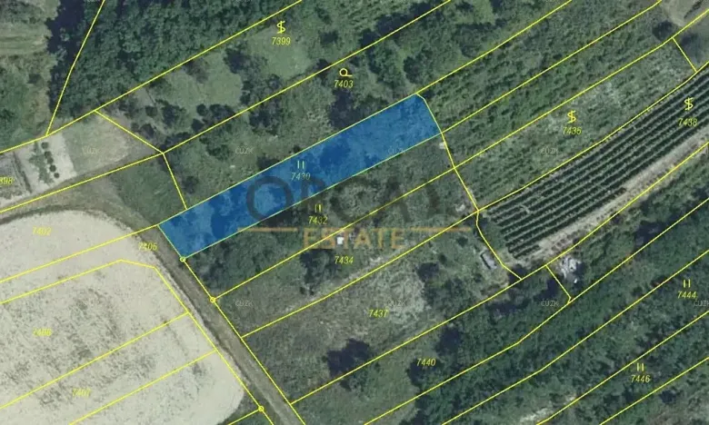 Prodej sadu/vinice, Velké Němčice, 2803 m2