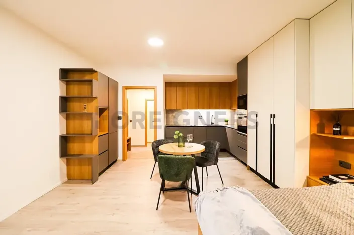 Pronájem bytu 1+kk, Brno, Cyrilská, 46 m2