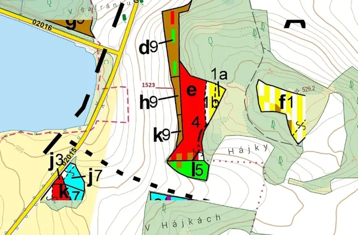 Dražba lesa, Hradiště, 645 m2