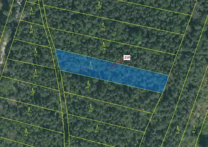 Dražba lesa, Vesce, 1673 m2