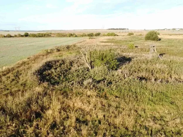 Dražba louky, Chrášťany, 1802 m2