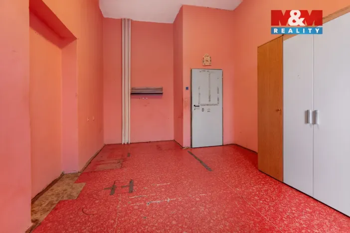 Pronájem obchodního prostoru, Plazy, 675 m2