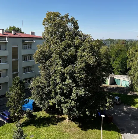 Pronájem bytu 2+1, Přerov - Přerov I-Město, Dvořákova, 69 m2