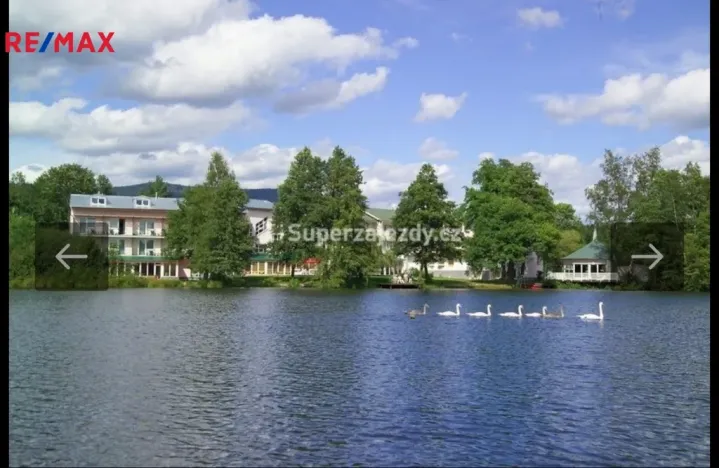 Prodej rodinného domu, Děpoltovice - Nivy, 28 m2