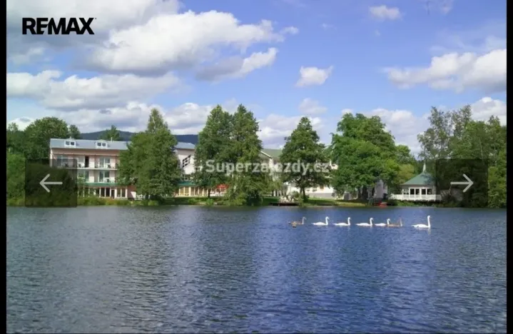 Prodej rodinného domu, Děpoltovice - Nivy, 34 m2