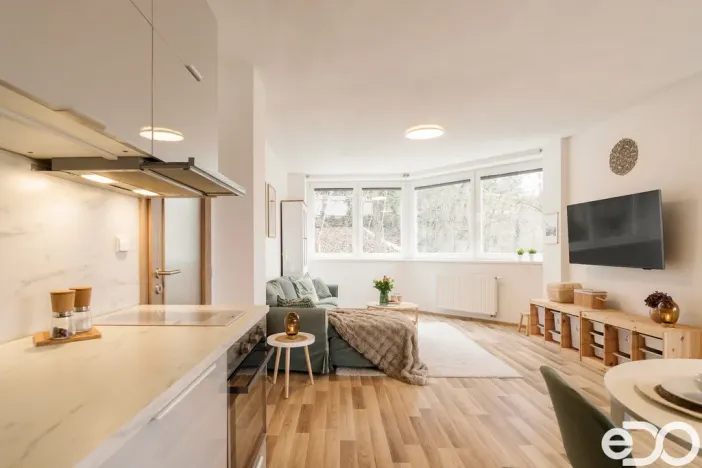 Prodej bytu 2+kk, Mladá Boleslav, Laurinova, 65 m2