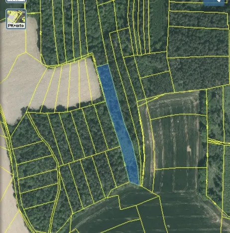 Prodej lesa, Blížejov - Lštění, 4624 m2