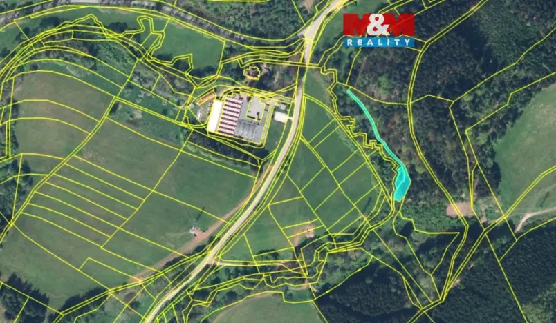 Prodej lesa, Stárkov, 640 m2