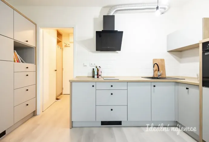 Pronájem bytu 1+kk, Praha - Vinohrady, Perucká, 25 m2