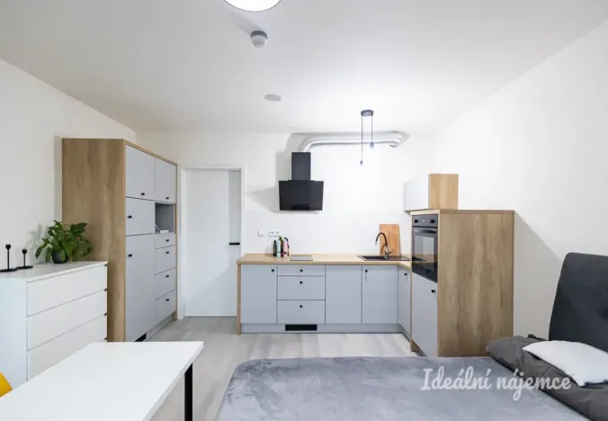 Pronájem bytu 1+kk, Praha - Vinohrady, Perucká, 25 m2