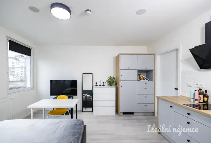 Pronájem bytu 1+kk, Praha - Vinohrady, Perucká, 25 m2